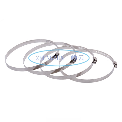 定製（zhì）不鏽鋼卡箍